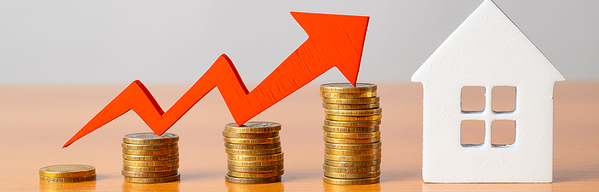 Subsidie voor het dak van je woning