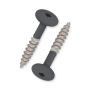Keralit Torx Schroef T20 32 mm (bestelnr. 2890) HR Nieuw