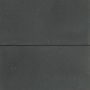 Tremico Betontegel 30x60x6 cm Hoofdafbeelding