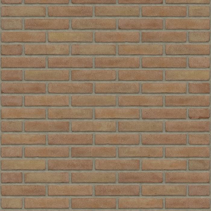 Rijswaard Brons Vormbak Waalformaat