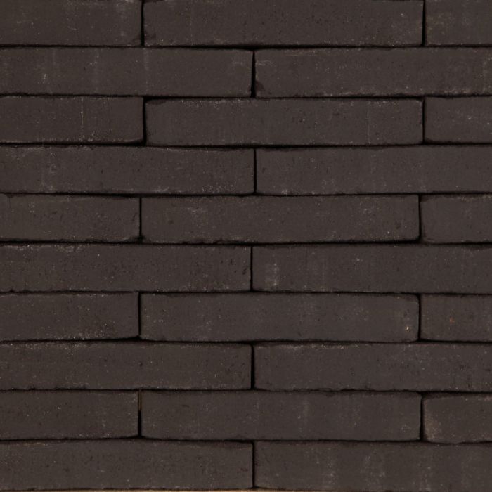 Rodruza Carthago Wasserstrich Hilversums Formaat