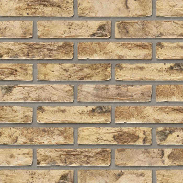 Wienerberger Ecobrick Sarek Park Handvorm Waalformaat 