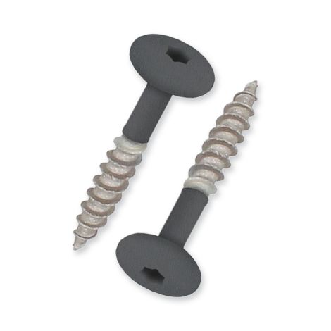 Keralit Torx Schroef T20 32 mm (bestelnr. 2890) HR Nieuw