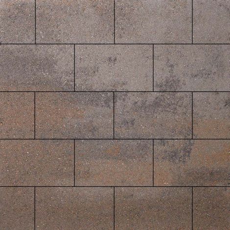Infinito Comfort 30x20x6 cm Orso Hoofdafbeelding