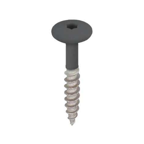 Keralit Torx Schroef T20 32 mm - Doos à 100 stuks