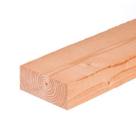 Douglas Fijnbezaagd 50x125 Nieuwe Hoofafbeelding HR