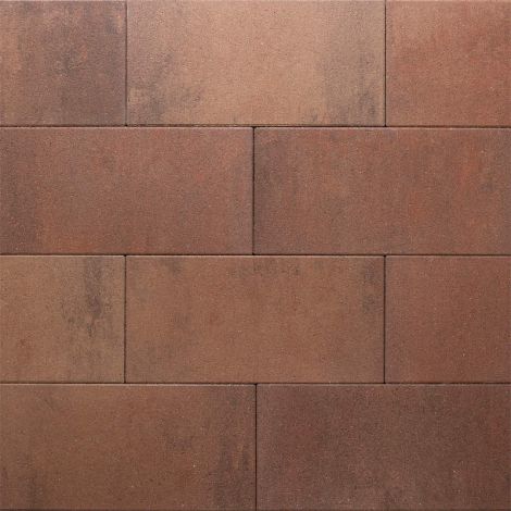 Eliton Supreme Linea XXS 30x60x4 cm