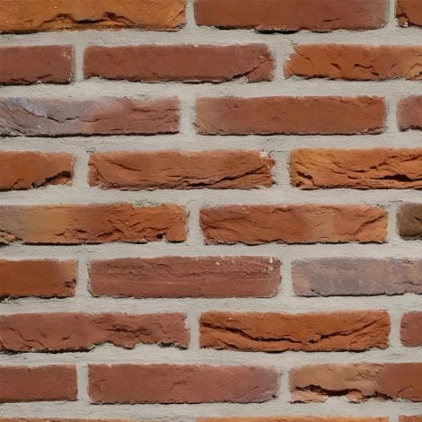 Eurosteen Cranenweijer Handvorm Waalformaat (4078) - pallet à 792 stuks