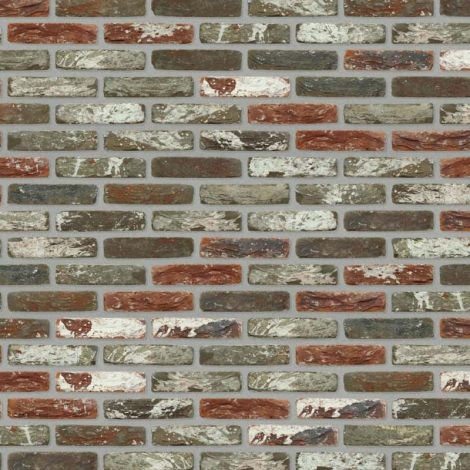 Nelissen Ziva Handvorm Waalformaat - monsterdoos à 4 stuks