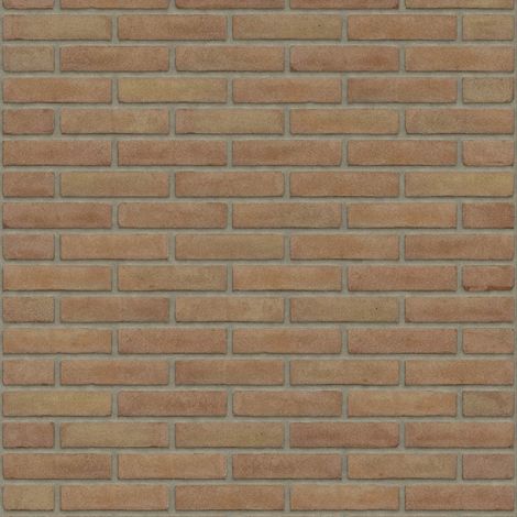 Rijswaard Brons Vormbak Waalformaat - monsterdoos à 4 stuks