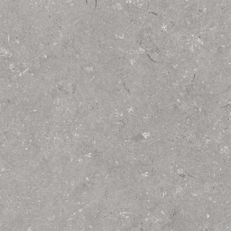 Robusto Ceramica 3.0 60x60x3 cm Shellstone Grigio