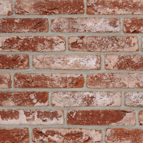 Wienerberger EcoBrick Avolto Jado Rood Handvorm Waalformaat - pallet à 1100 stuks HR