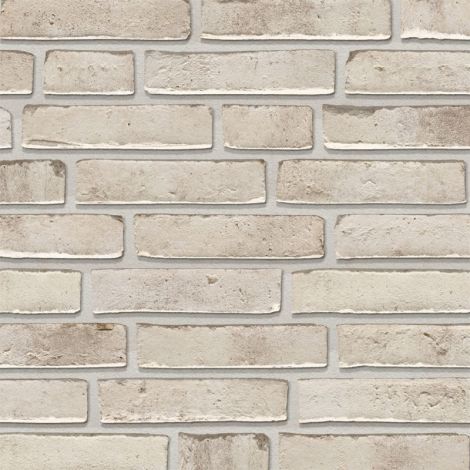 Wienerberger Ecobrick Lustra Fjord Wasserstrich Waalformaat - pallet à 568 stuks HR