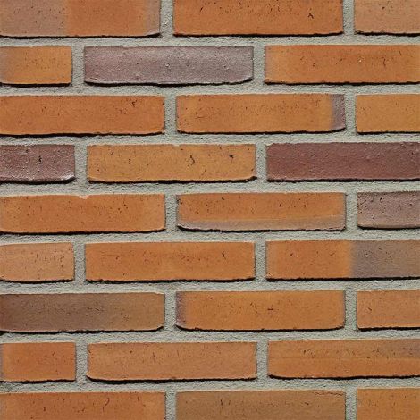 Wienerberger Goudsbloem Wasserstrich Waalformaat - pallet à 400 stuks