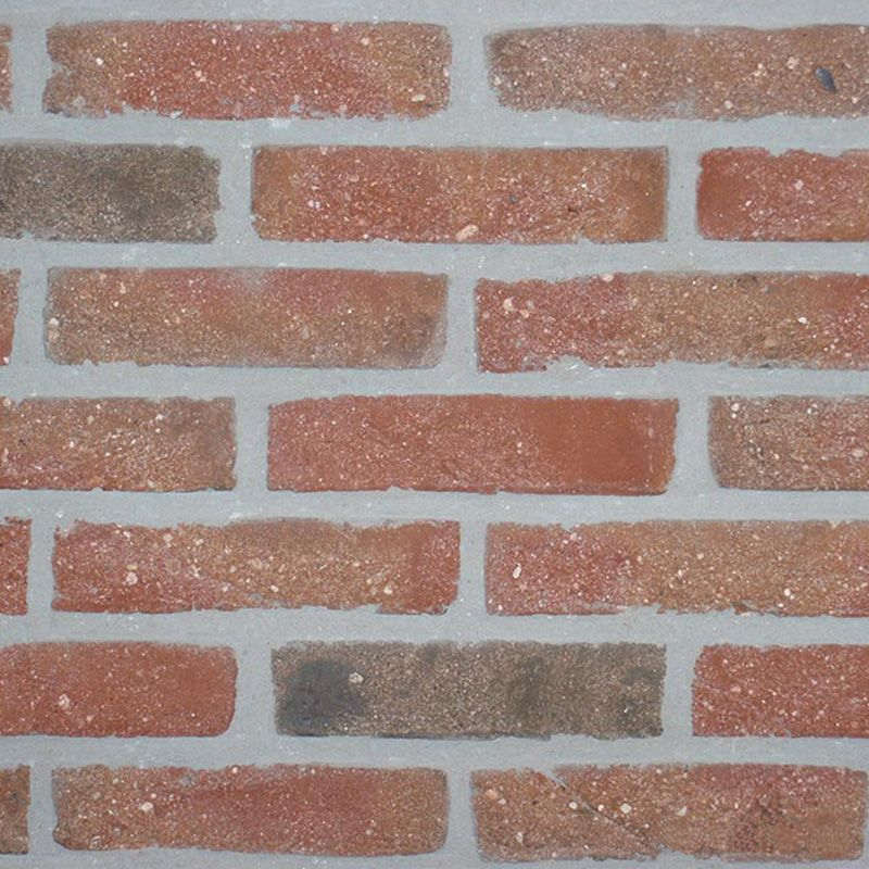 Eurosteen Rood Paars Gereduceerd Grofzand Handvorm Waalformaat - pallet à 792 stuks