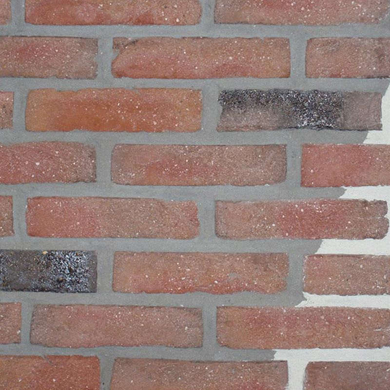 Eurosteen Rood Paars Gereduceerd Gesinterd Grofzand Handvorm Waalformaat - pallet à 792 stuks Eurosteen Rood Paars Gereduceerd Gesinterd Grofzand Handvorm Waalformaat - pallet à 792 stuks