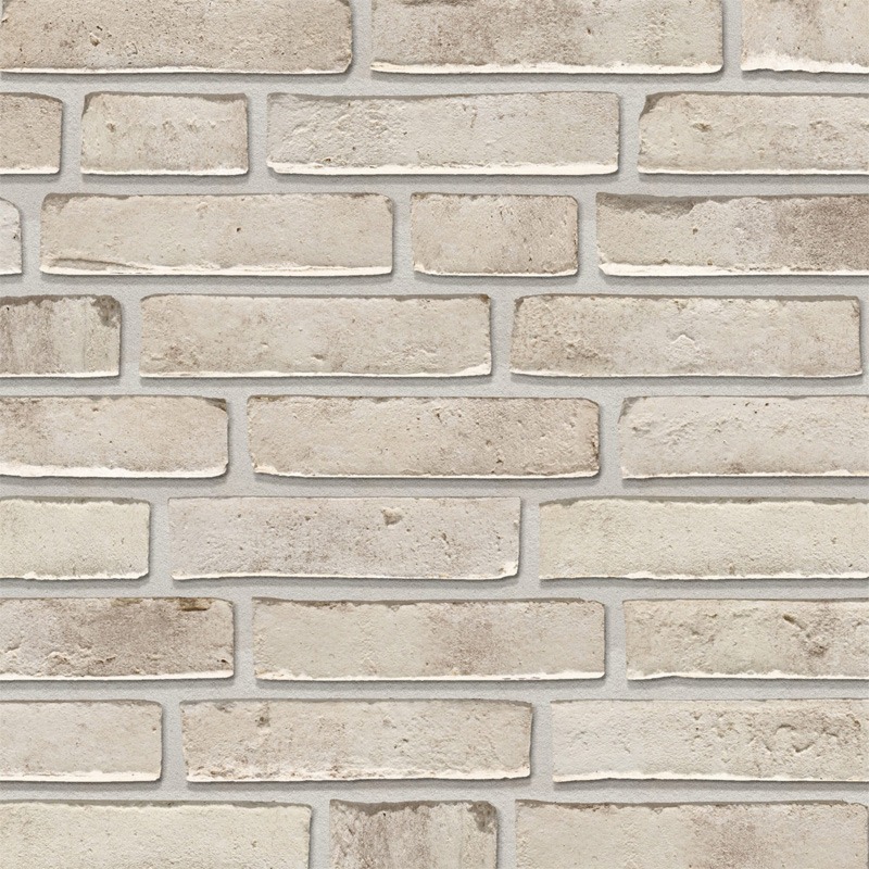 Wienerberger Ecobrick Lustra Fjord Wasserstrich Waalformaat - pallet à 568 stuks HR