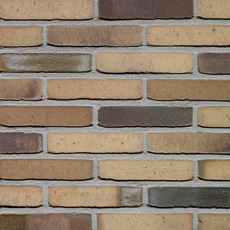 Wienerberger Hoornbloem Wasserstrich Waalformaat - pallet à 400 stuks Wienerberger Hoornbloem Wasserstrich Waalformaat - pallet à 400 stuks