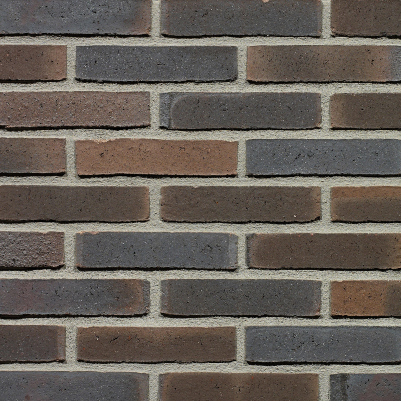 Wienerberger Kogelbloem Wasserstrich Waalformaat Wienerberger Kogelbloem Wasserstrich Waalformaat