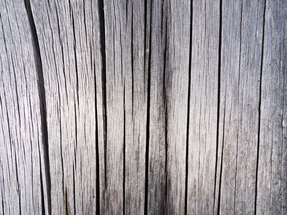 Hoe kun je vergrijsd douglas hout behandelen?