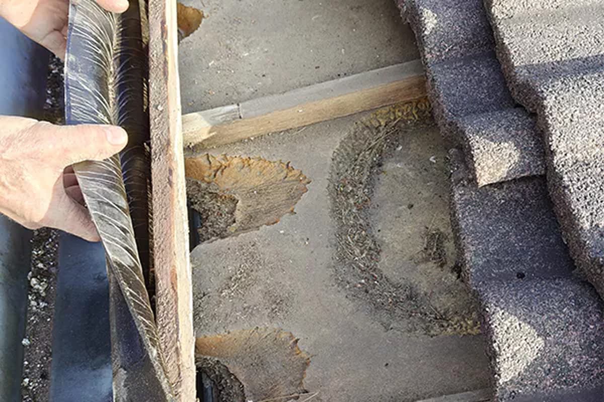 Inspecteren_dakrand_Project_Sjoerd