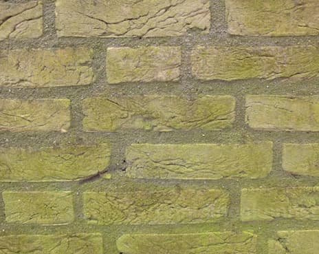 Baksteen_groene_aanslag