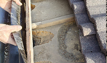 Inspecteren_dakconstructie_dakrenovatie_denekamp