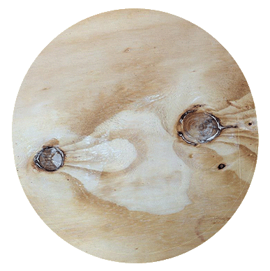 Structuur Elliottis Pine