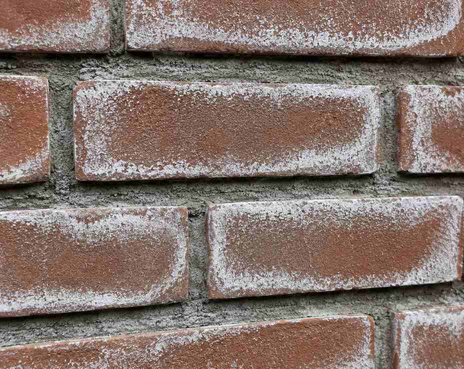 Voorbeeld_witte_aanslag_op_bakstenen