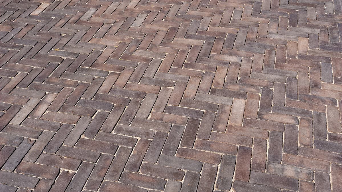 Project_tuin_bestrating_losser_sfeerafbeelding_16