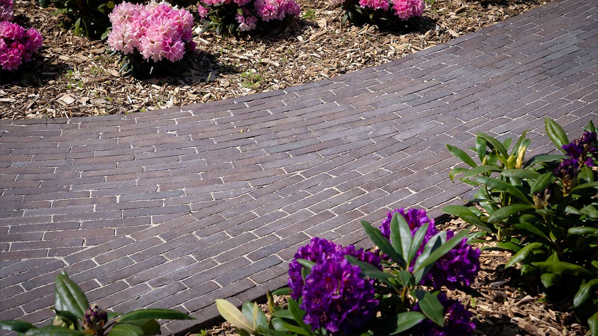 Sfeerafbeelding_landelijke_tuin_4