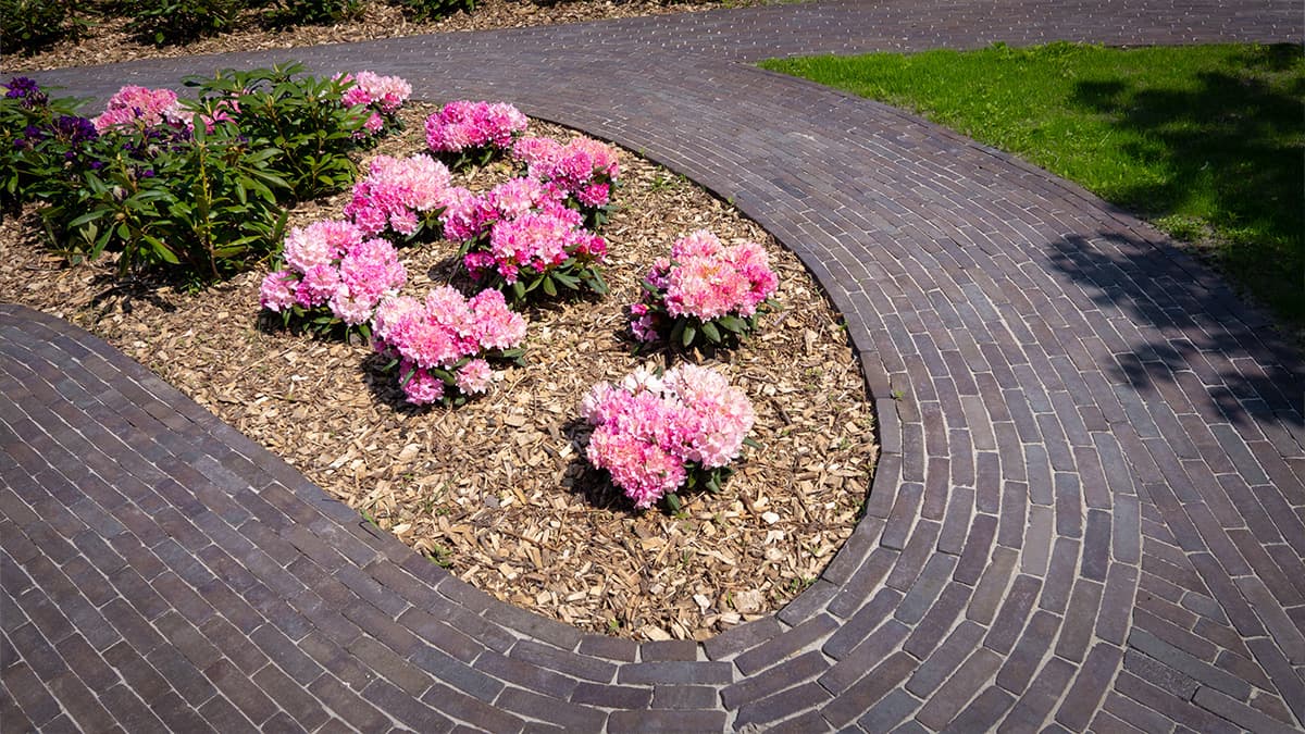 Sfeerafbeelding_landelijke_tuin_8
