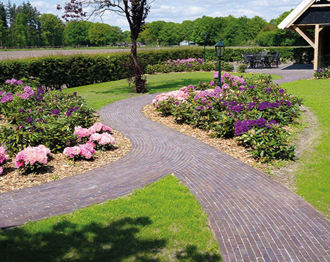 Tuintrends_2026_landelijke_stijl_met_organische_vormen