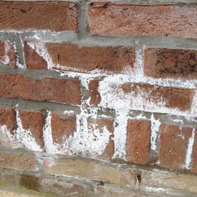 Voorbeeld salpeter op bakstenen
