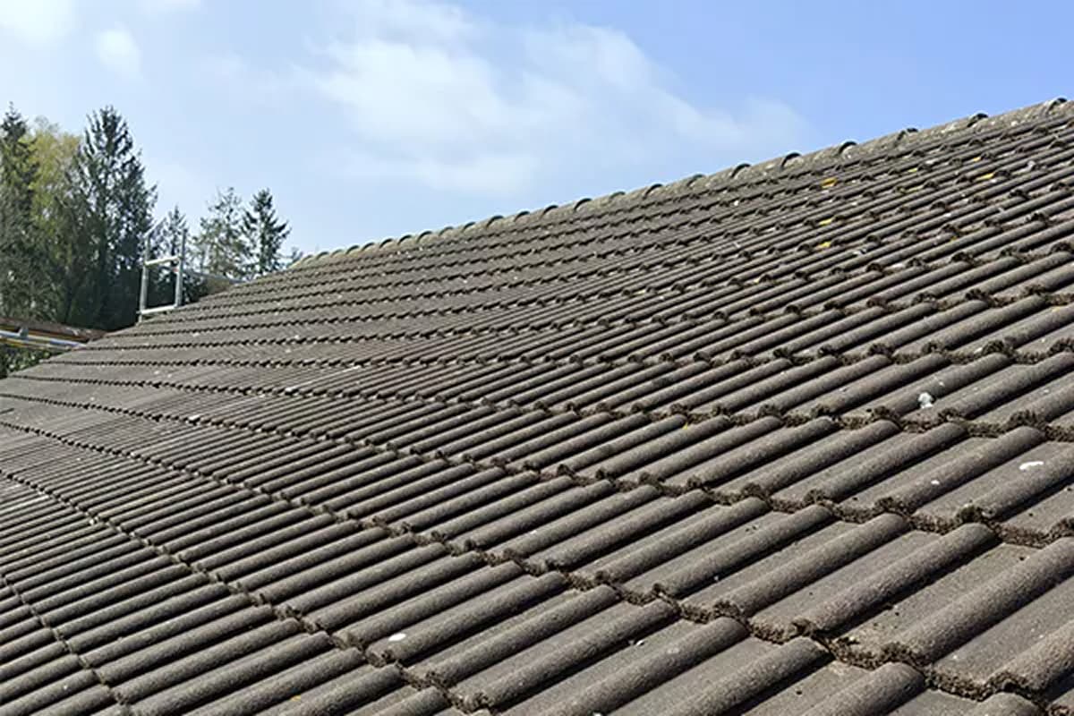 Sfeerafbeeldingen_betonnen_dakpannen_Sjoerd