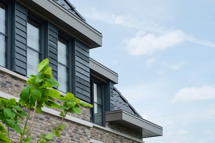 Keralit dakrand zwart-achtig